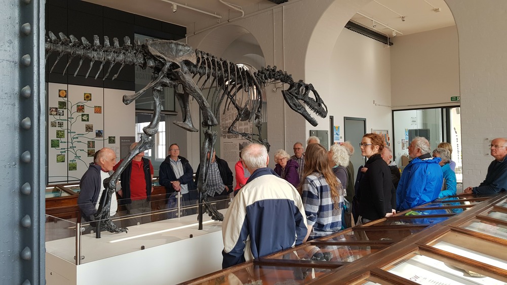 Lapworth Geology Museum