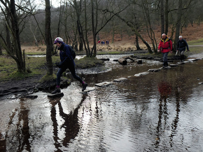 12 2 19 Cannock Chase stepping stones 3m copy