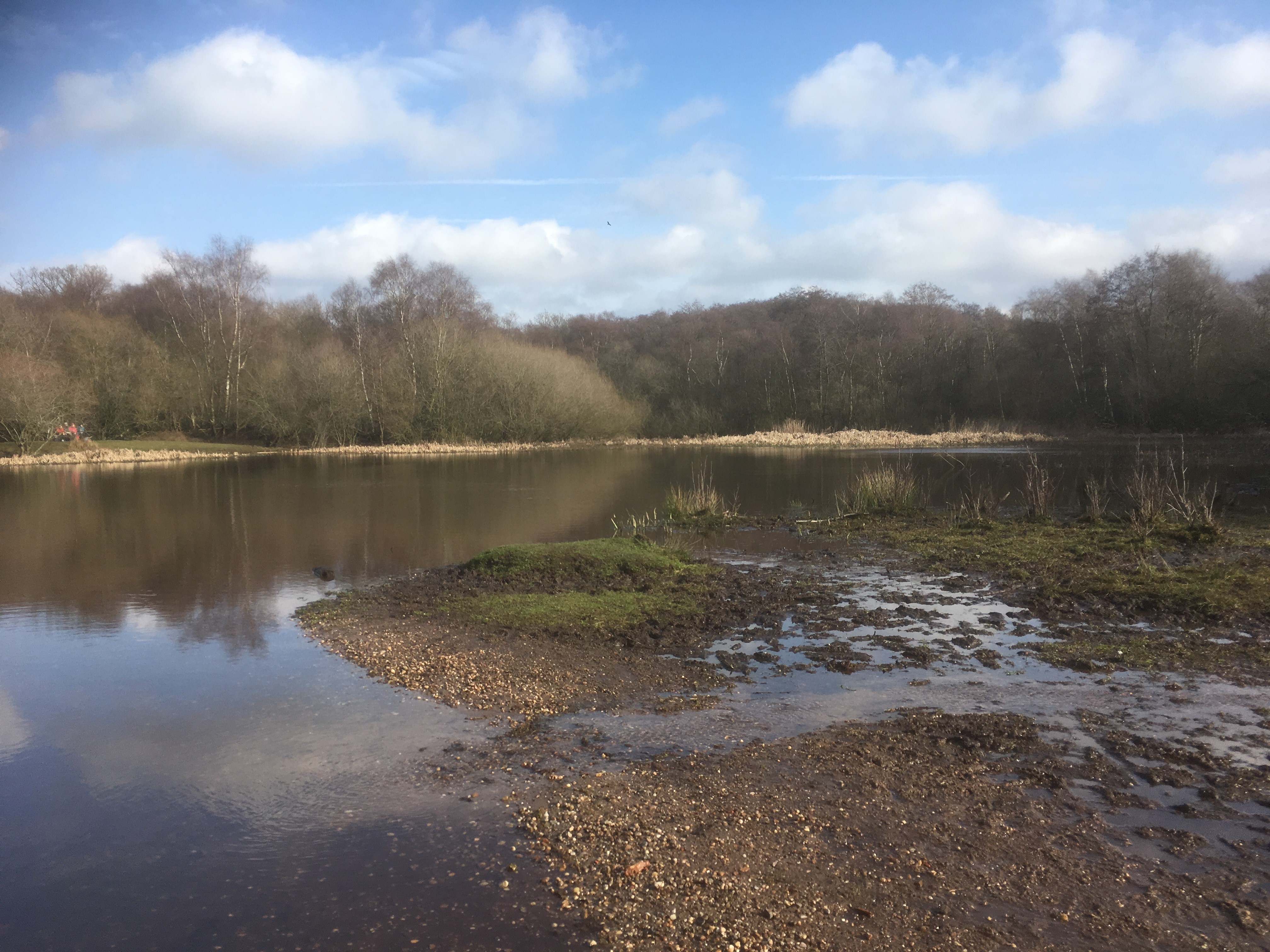 20190217 Sutton Park
