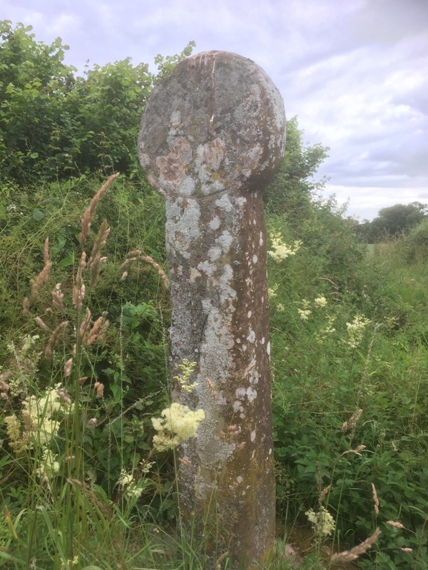 Butter Cross nr Hampton Loade 090719
