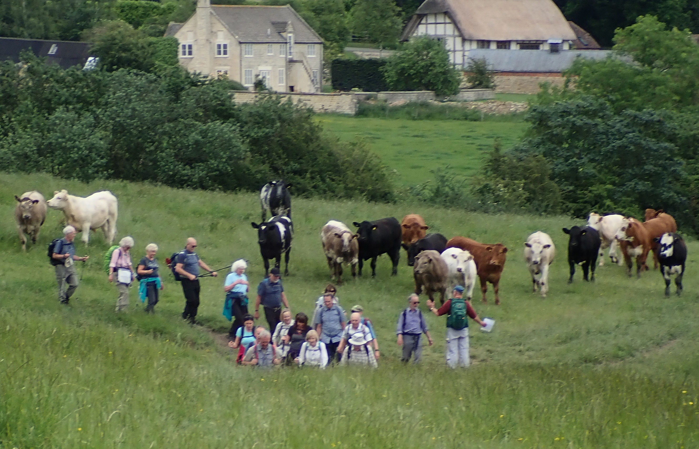 4 6 19 walkers near Dixton 002