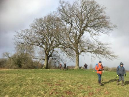 200211 Bromyard Downs