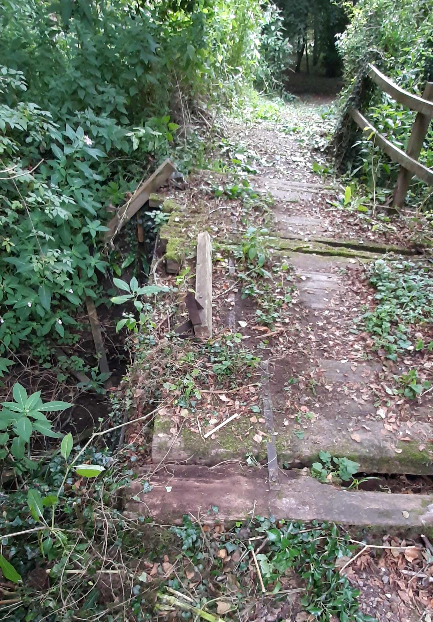 2024 Bridge Oct to be replaced