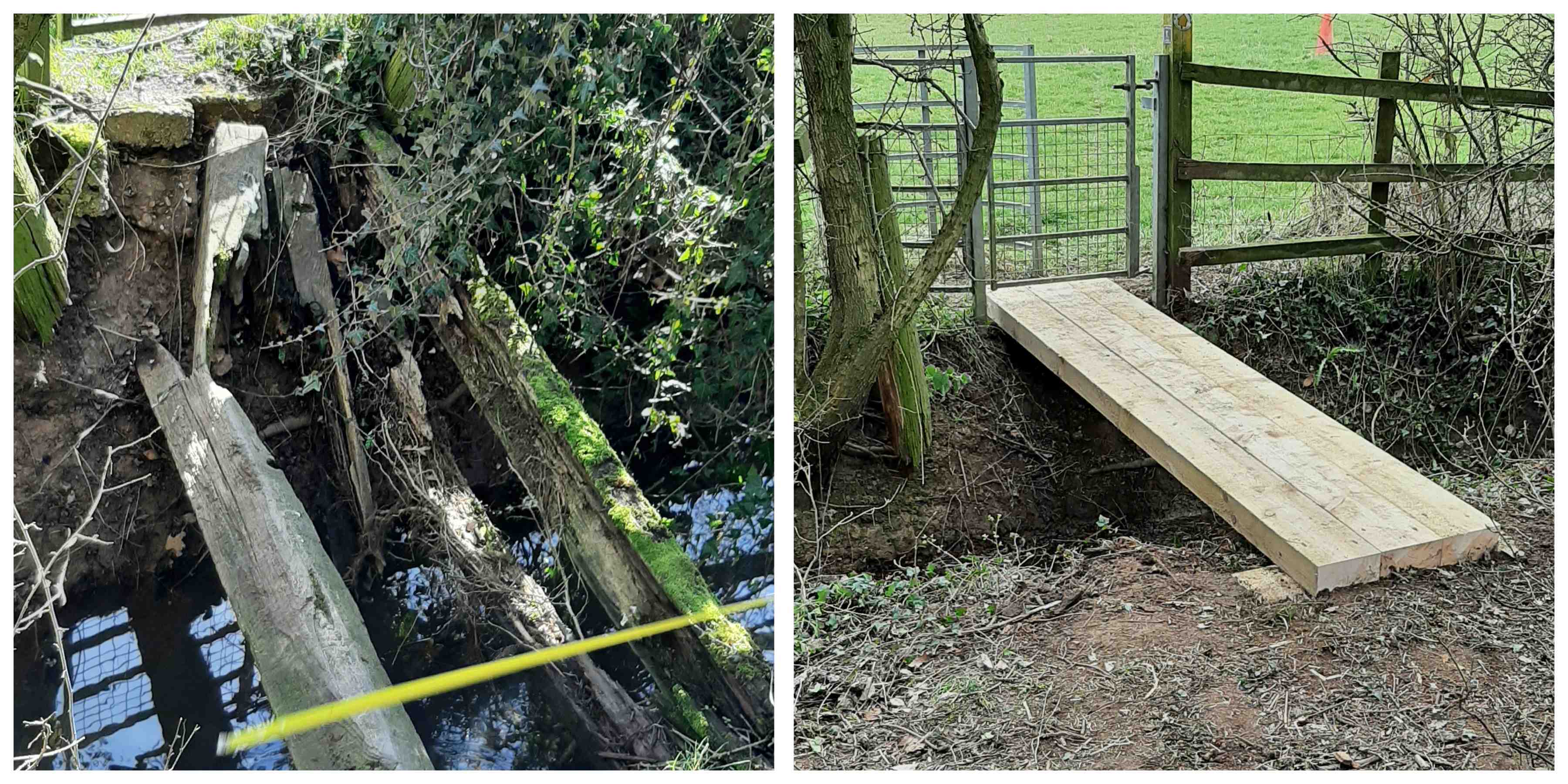 Pinkney before and after